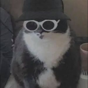 Meet your Posher, Gary